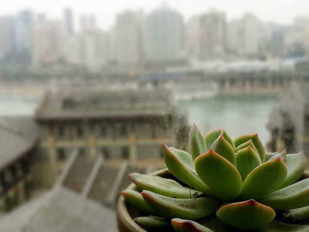 Boutique Of Meditation With Cuisine & Night View, Exit 2 Liujiatai Station Line 9 Чунцин Екстериор снимка